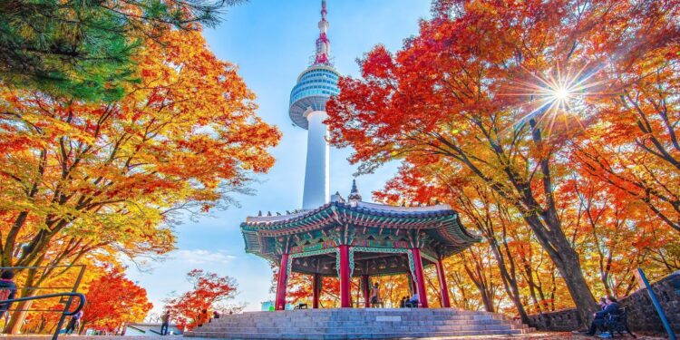 Who are the top contenders for South Korea’s presidential election? – Reuters