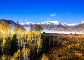 Northern China on alert for typhoon-like winds from Mongolia – CNA