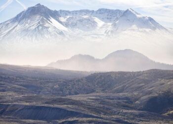 State Tax Service of Kyrgyzstan studied experience of developed countries – AKIpress News Agency