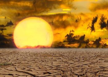 Extended heatwave in India, Pakistan to test survivability limits, with temperatures reaching Death Valley levels – CNN