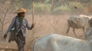 Myanmar earthquake: Search and rescue efforts continue in race against time – UN News
