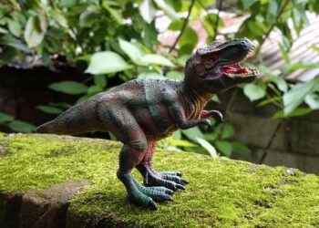 New Cretaceous mammal fossil discovered for the first time in Mongolia – Asia News Network