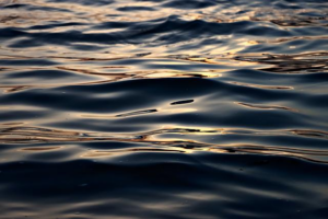 Ripple an Early Investor in HashKey Capital’s New XRP Tracker Fund in Asia – Decrypt
