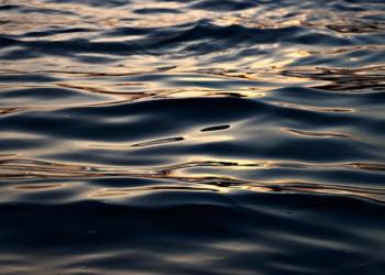 Ripple an Early Investor in HashKey Capital’s New XRP Tracker Fund in Asia – Decrypt