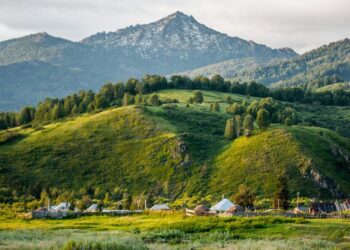 North Kazakhstan outlines 2025 crop strategy with over 4.4 million hectares under cultivation – AzerNews