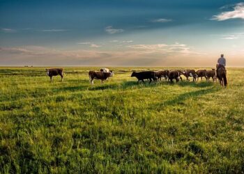 Mongolia’s Interim Free Trade Deal With the EAEU: What’s at Stake? – The Diplomat – Asia-Pacific Current Affairs Magazine