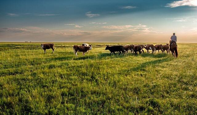Mongolia’s Interim Free Trade Deal With the EAEU: What’s at Stake? – The Diplomat – Asia-Pacific Current Affairs Magazine