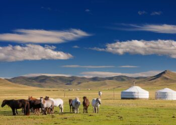 Concern in Mongolia After Police Raid on Independent News Outlet – The Diplomat – Asia-Pacific Current Affairs Magazine