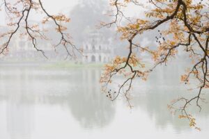 Vietnam boosts cultural, educational ties with Brunei – Vietnam+ (VietnamPlus)