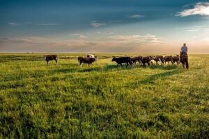 Mongolia courts tourists by making it easier to visit – VOA – Voice of America English News