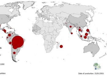 Over 800 dengue cases reported from 57 districts in Nepal since January – Asia News Network