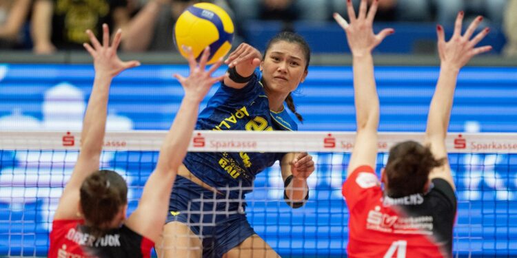 Volleyball Recap: Cyprus Comes Up Short – MaxPreps.com