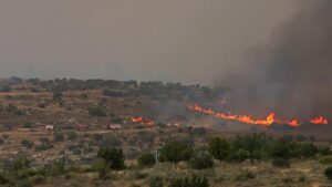 See wildfires in Israel officials fear are largest ‘ever in the country’ – CNN