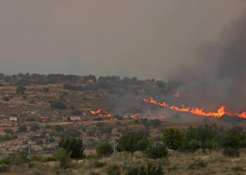 See wildfires in Israel officials fear are largest ‘ever in the country’ – CNN