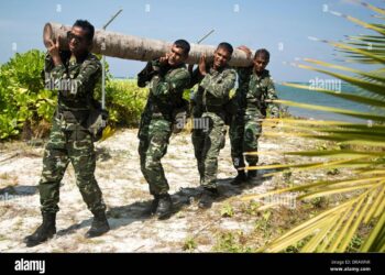 Maafilaafushi: INS Sharda begins HADR mission in Maldives #Gallery – Social News XYZ