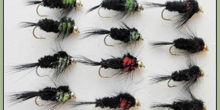 US-based Montana Fly reaffirms investment expansion in Cambodia – Khmer Times