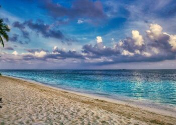 Maldives president holds record 15-hour press conference – News-Topic
