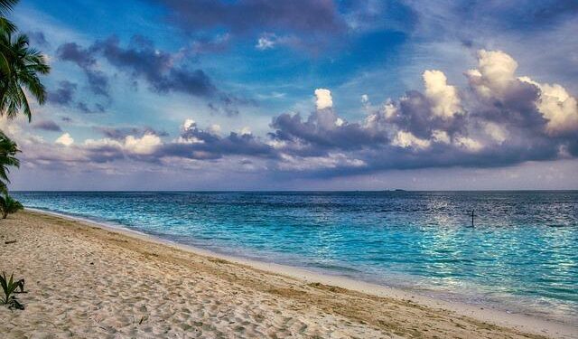 Maldives president holds record 15-hour press conference – News-Topic