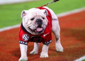 Former Georgia Bulldogs WR traded to Cowboys – Yahoo Sports