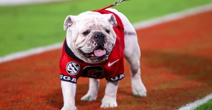 Former Georgia Bulldogs WR traded to Cowboys – Yahoo Sports