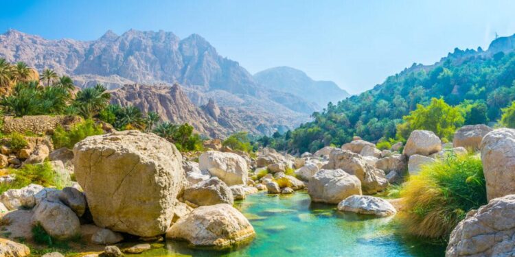 Oman Ranks First in West Asia, Ninth Globally in Open Data – وكالة الأنباء العمانية