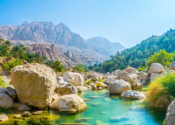 Oman ranks first in West Asia, ninth globally in open data – Times of Oman