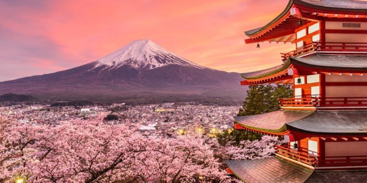 Japan’s Response to Trump’s Tariffs – The Diplomat – Asia-Pacific Current Affairs Magazine