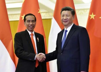 Sino-Indonesian bond grows stronger – China Daily