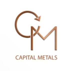 Capital Metals Launches £300,000 Retail Offer to Boost Sri Lanka Project – TipRanks