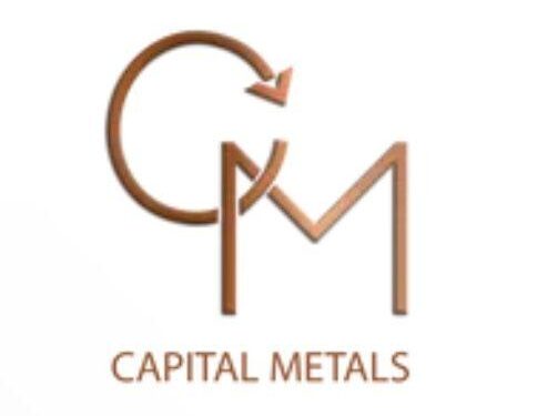 Capital Metals Launches £300,000 Retail Offer to Boost Sri Lanka Project – TipRanks