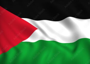 Palestine protesters march on TVNZ, accuse broadcaster of bias on Gaza – Asia Pacific Report