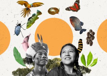 Seeking solutions in Indigenous knowledge: Interview with the Maldives’ Mohamed Nasheed – Mongabay