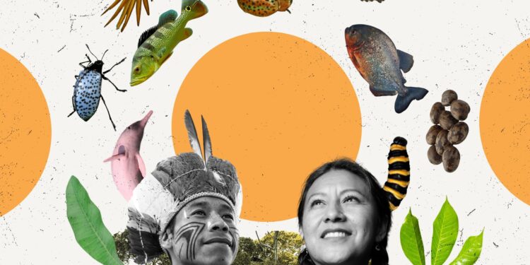 Seeking solutions in Indigenous knowledge: Interview with the Maldives’ Mohamed Nasheed – Mongabay