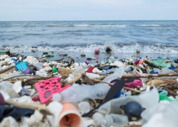 Beating Plastic Pollution for a Healthier Future for Every Child – Unicef