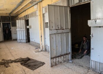 Surviving Syria’s Prisons review – consistently shocking and unforgettably moving – The Guardian