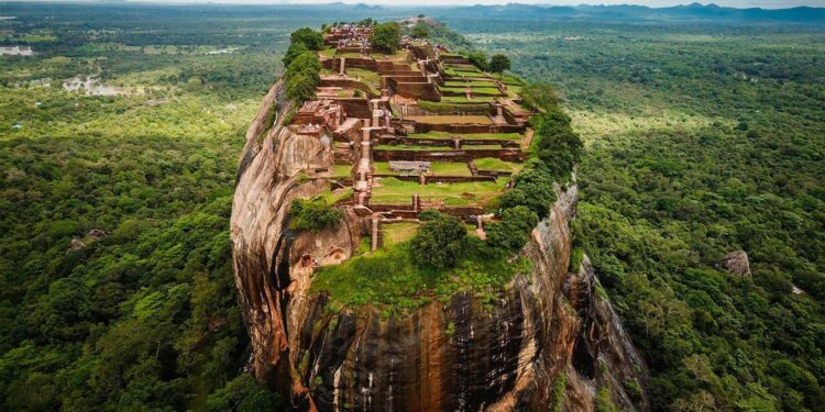 Sri Lanka counts seven million crop-busting monkeys – The Avery Journal-Times