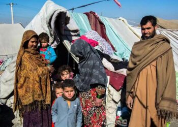 Afghanistan’s children starve as calls for help go unanswered – Al Jazeera