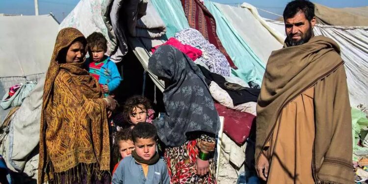 Afghanistan’s children starve as calls for help go unanswered – Al Jazeera