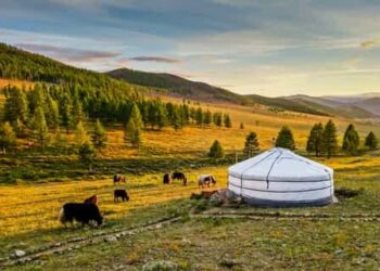 Mongolia to host BCL Asia-East 2025 Final 4 – fiba.basketball