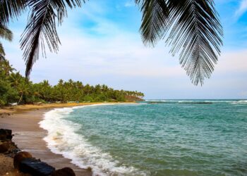 Sri Lanka’s National Fuel Pass system: Tackling an economic crisis with digital public infrastructure – Amazon Web Services