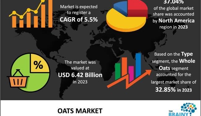 Asia’s Oats Market to Experience Moderate Growth with CAGR of +1.5% – IndexBox