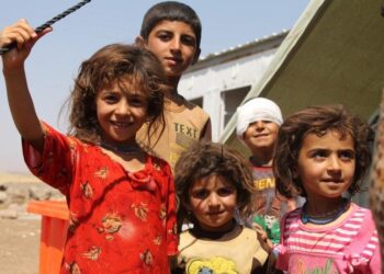 Working the land, shaping new lives: Refugees and host communities join forces in Iraq – International Labour Organization
