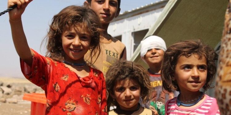 Working the land, shaping new lives: Refugees and host communities join forces in Iraq – International Labour Organization