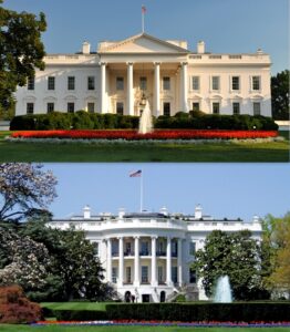 White House mistakenly shares Yemen war plans with journalist – CNA