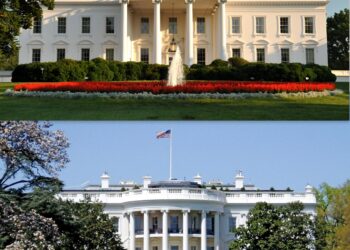 White House mistakenly shares Yemen war plans with journalist – CNA