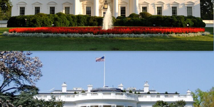 White House mistakenly shares Yemen war plans with journalist – CNA
