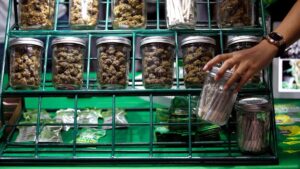 Thailand Re-Criminalizes Cannabis, Which May Set Back Marijuana Laws in Asia – Rolling Stone Philippines
