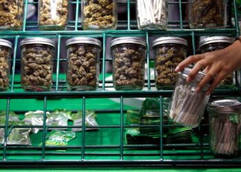 Thailand Re-Criminalizes Cannabis, Which May Set Back Marijuana Laws in Asia – Rolling Stone Philippines