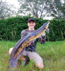 Predatory snakehead fish poses invasive threat after sighting in Sri Lanka reservoir – Mongabay