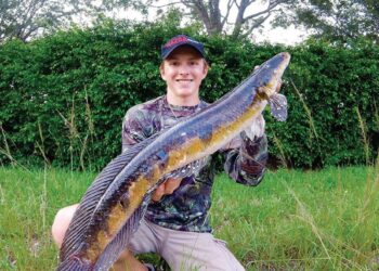 Predatory snakehead fish poses invasive threat after sighting in Sri Lanka reservoir – Mongabay